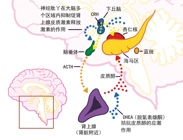 活在这世上,谁没有个不开心的时候呢?