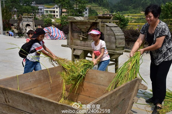 最吸引游客的是传统的"桶杠"脱稻粒与乡村特色的挑稻谷比赛.