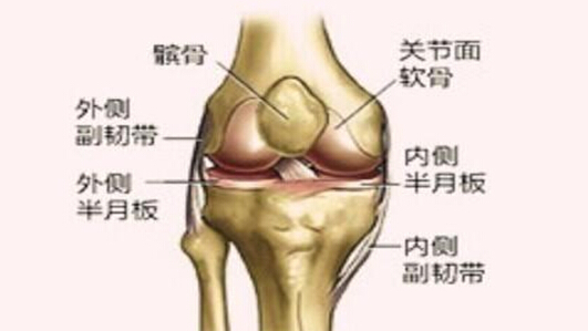 跑步伤病篇——髌股关节疼痛综合征的产生和恢复