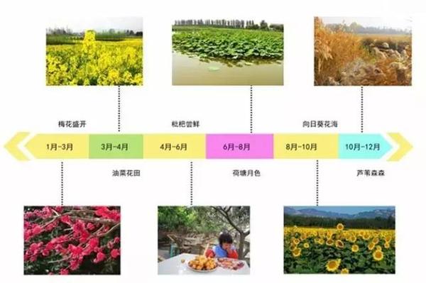 (植物季相分析) 二期部分效果图