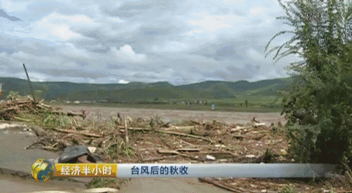 洪水肆虐,万亩良田惨遭绝收.