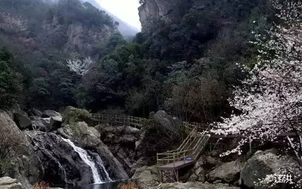 九龙山