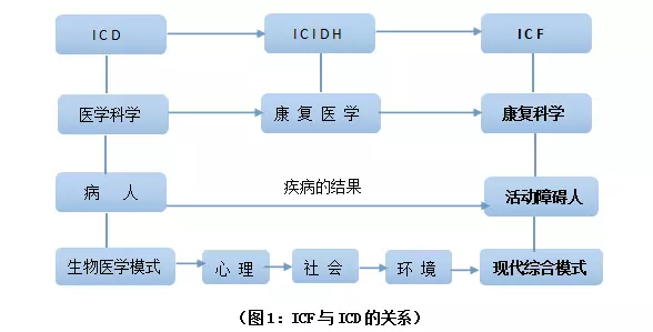 建设健康中国,全民健康梦框架下的康复梦