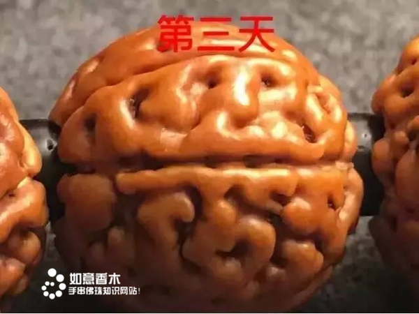 a7wrvo11595944961596.jpg