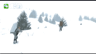 步枪,手枪,4个弹夹,4枚手榴弹(也包括闪光震撼弹,催泪弹等战术武器)