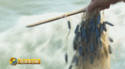 海洋渔业深陷寒冬:茫茫大海无鱼可捕 渔民辛苦一年