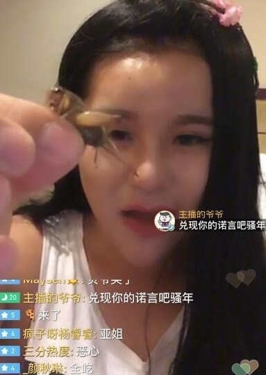 近日有网友晒出了女主播韩雅熙大玩生吃活虫的直播画面,画面生猛重口