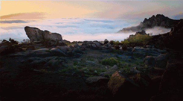 305,306路至市区,再乘坐市区公交到达;301路,302路公交车直接到达石门