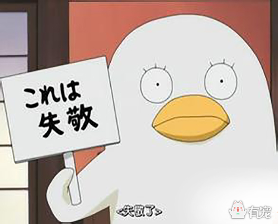 人人口袋同系列_口袋妖怪