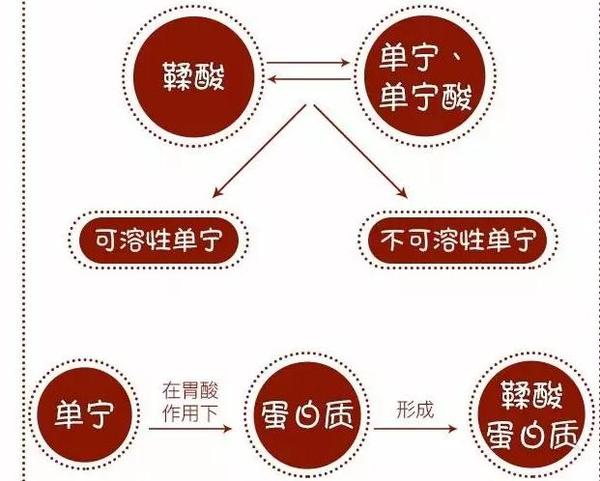 不什么言状成语_成语故事图片(2)