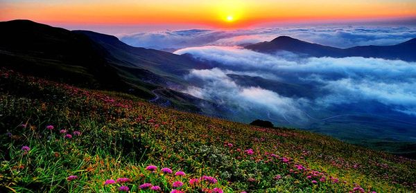 多彩贵州,绚丽毕节,洞天湖地,花海鹤乡