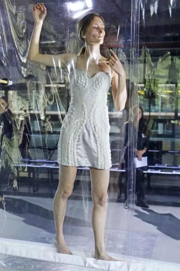 van herpen 当作火腿,当作烤鸭,当作鸭脖,当作鸡翅放进