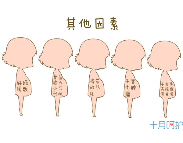 a0wbv815136176170596.jpg
