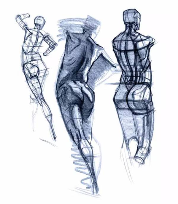 速写 | 关于人体结构大干货