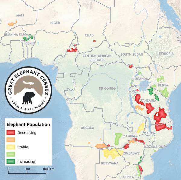 说起非洲就想到非洲象,有谁知道野外还有多少头?