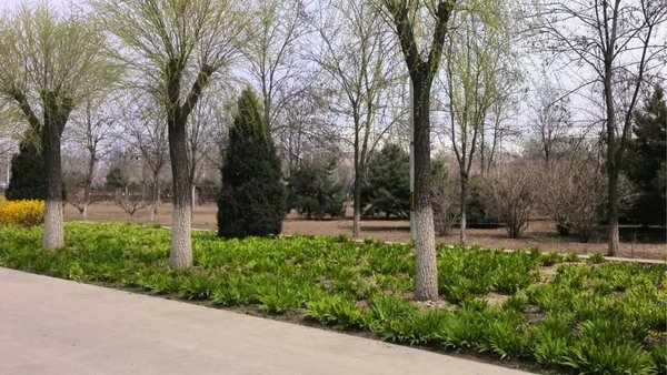 健身教练需要学习的专业知识与技能都有什么?