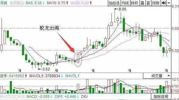 宝钢股份((600019)的月k线图,在2003年1月份出现了蛟龙出海k线,投资者