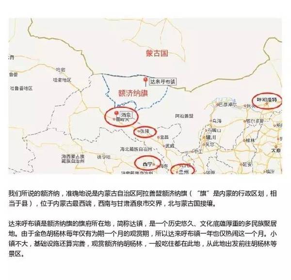【国庆自驾线路2】这里有最美的秋!额济纳看胡杨攻略完整版