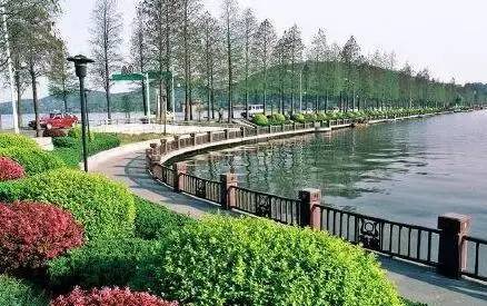 东湖绿道建成开放进入百日倒计时 沿线设24处驿站