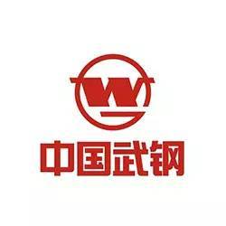 武汉钢铁(集团)公司