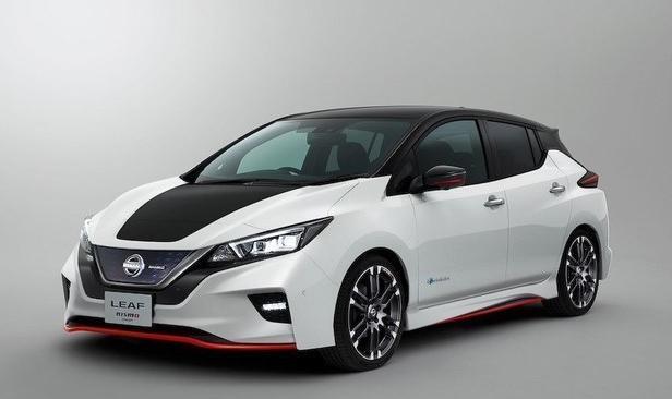 全球电动车排名_电动车排名前十名(2)