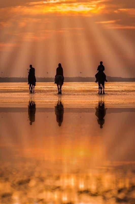 爱与勇气的交织,梦中携手共捉家中蛇影 爱与勇气的交织,梦中携手共捉家中蛇影