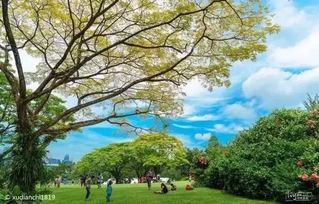 最适合第一次出国旅游的8大国家