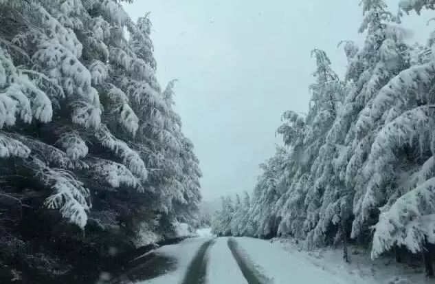 奉节这个地方的雪真的来了,比韩剧还唯美!