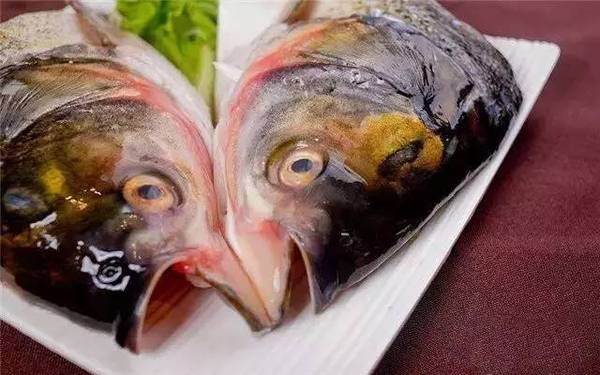 吃鱼头等于吃"毒"?看清真相就能愉快吃鱼啦!