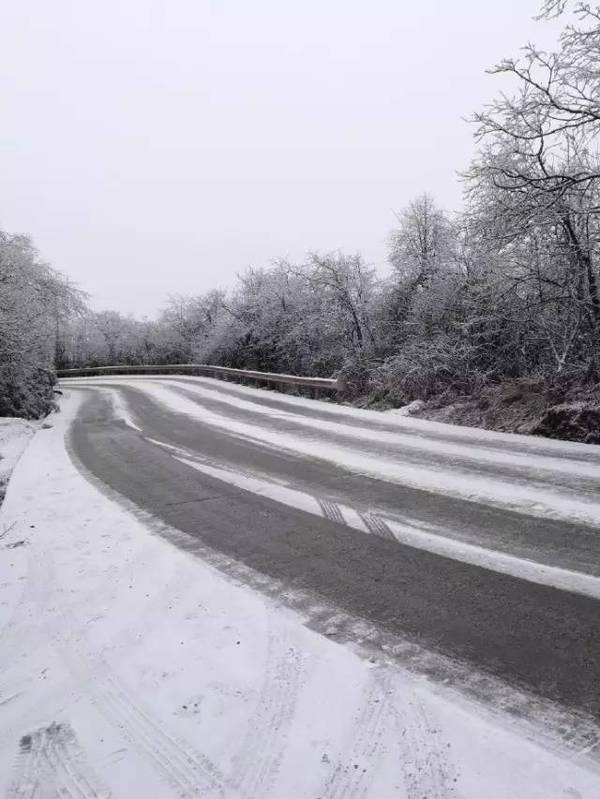 一场雪,冬天的峨眉山恢复了它的"本色"