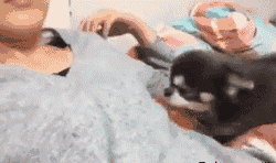 搞笑段子:看什么看!没见过美女么?