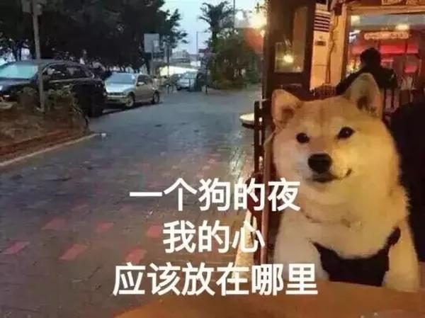 听说,夜晚越寂寞,表情包越丰富