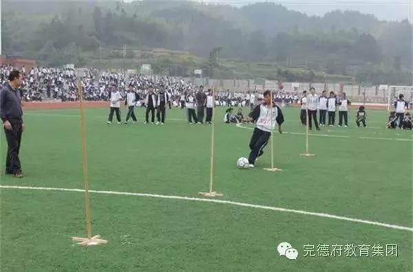 体考足球绕杆撞杆有分吗,体考足球绕杆规则