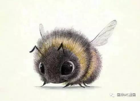 蜜蜂会不会蜇人呢 a8hpsk66607314750405.jpeg