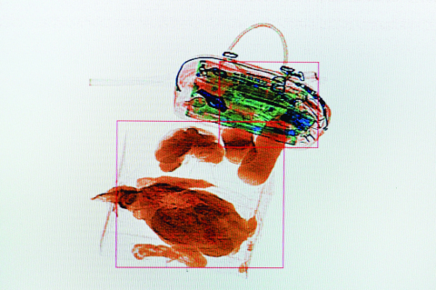 行李x光机安检图识别