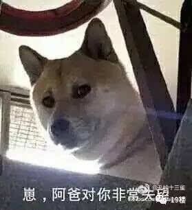 a4b0bm2648203697619.JPEG