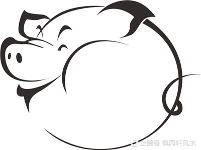 生肖猪