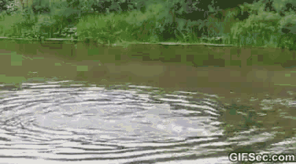 难道这就是失传已久的轻功水上漂?