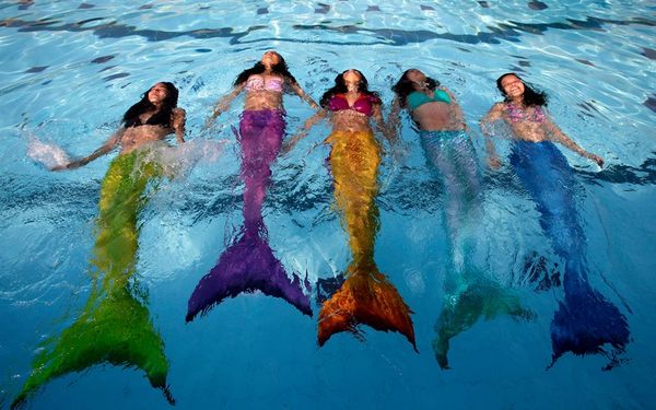 不同颜色的尾巴超适合姊妹一起组成美人鱼团体!