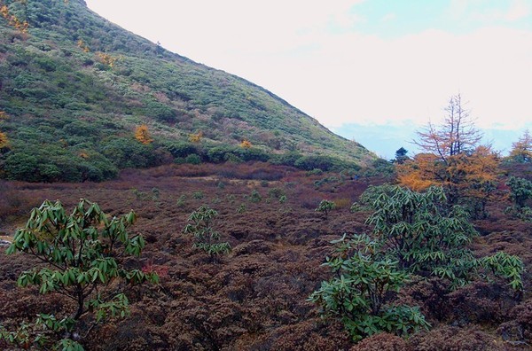 宁蒗青龙海湿地:神秘莫测的"山巅瑶池"