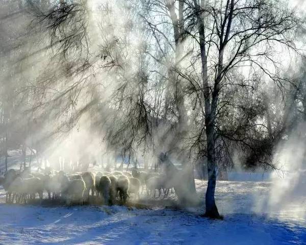 a5pwe29586088434619.jpeg