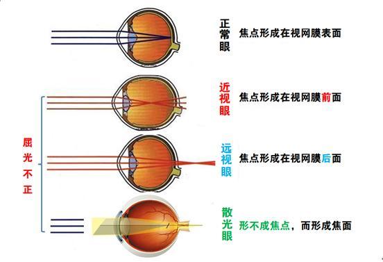 a8nexg6524053007619.jpg