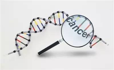 什么是基因遗传病 a31n6k0627524505619.jpeg