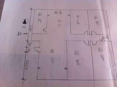 坐东向西的震宅,财位在正东方,正北方.