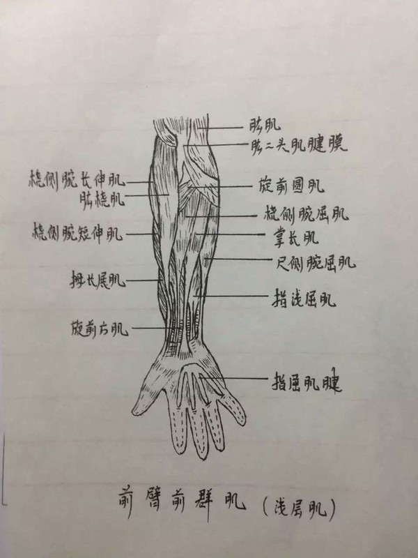 一个骨科医生的涂鸦日记——手腕上肢篇