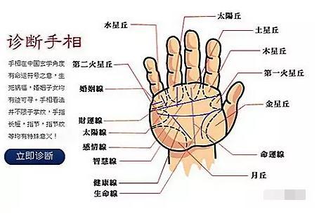 1,只有一条清晰的婚姻线,且长短适中