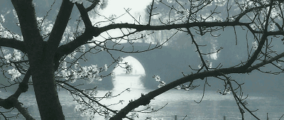 烟雨蒙蒙之时,它又是另一种美.