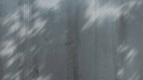 诚哥死的早!《人渣本愿》男主因停下来被大骂