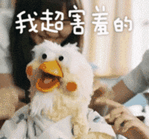 壁纸 动物 狗 狗狗 300_279 gif 动态图 动图