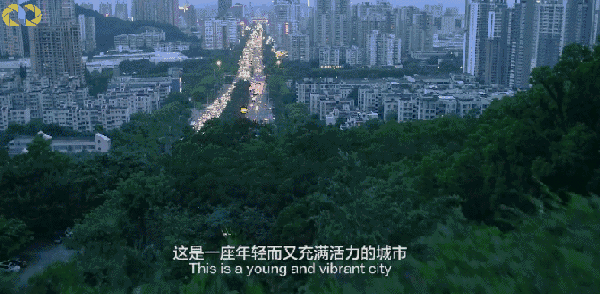 我们都说因为一个人,爱上一座城, 但在珠海, 恰恰却是因为一座城,赖